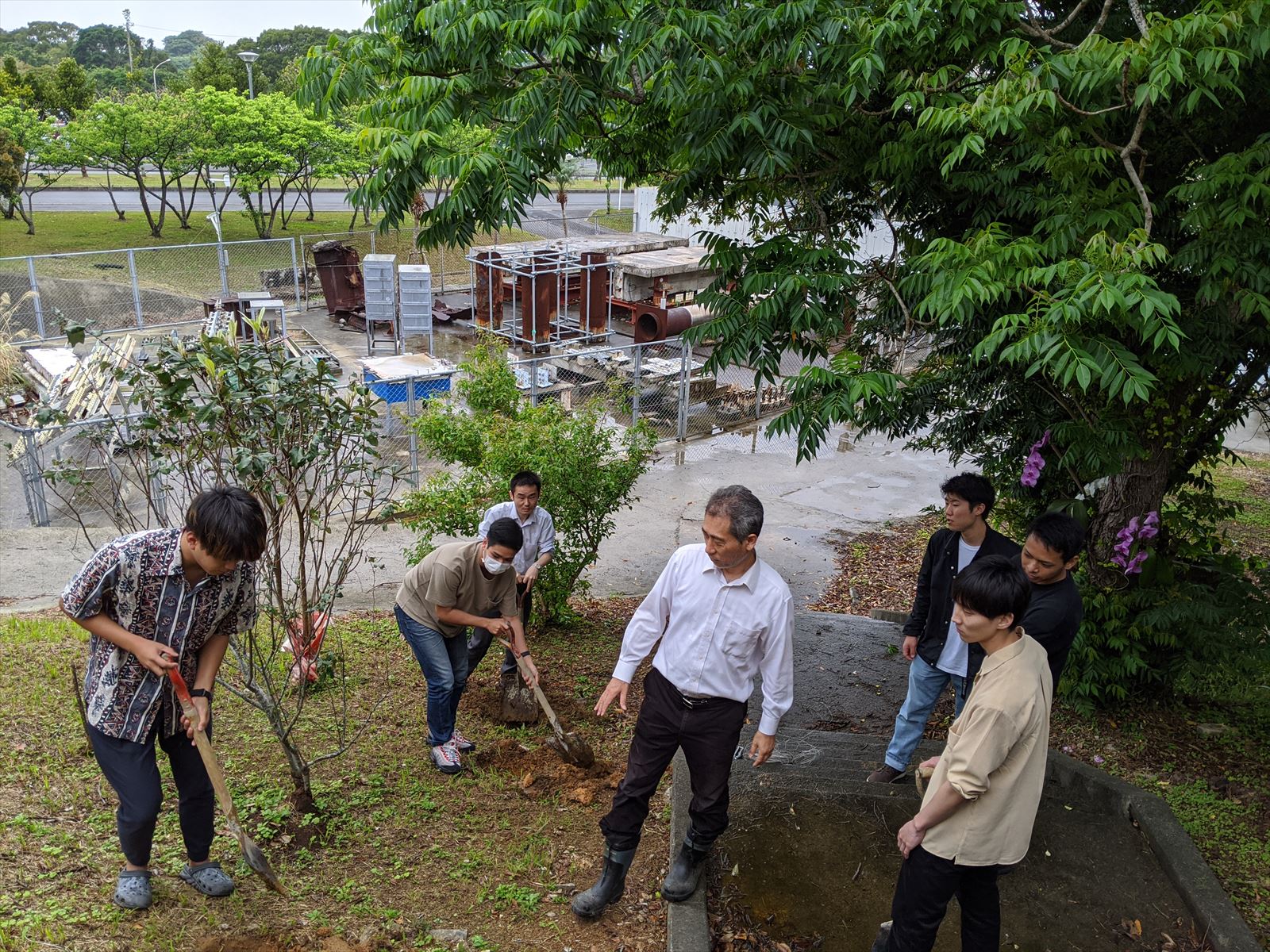 植樹の様子